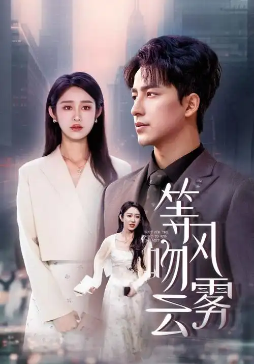 长夜将明热播电视剧全集海报